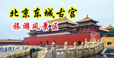 被强奸到高潮自述中国北京-东城古宫旅游风景区